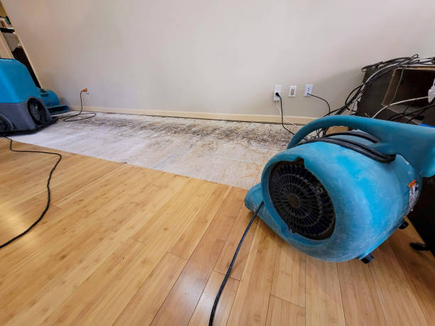 Reliable Basement Flood Cleanup contractor in South Roxana, IL by Hirex Water Damage