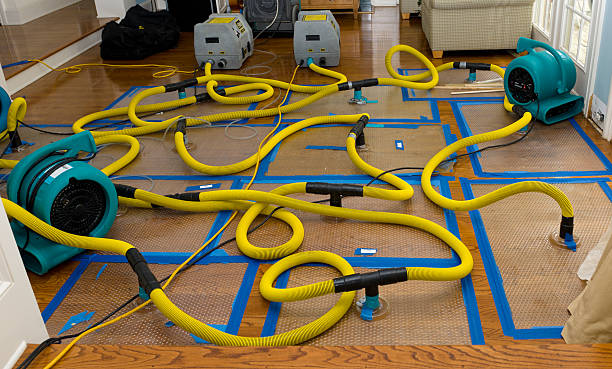 Professional Basement Flood Cleanup technician working in South Roxana, IL